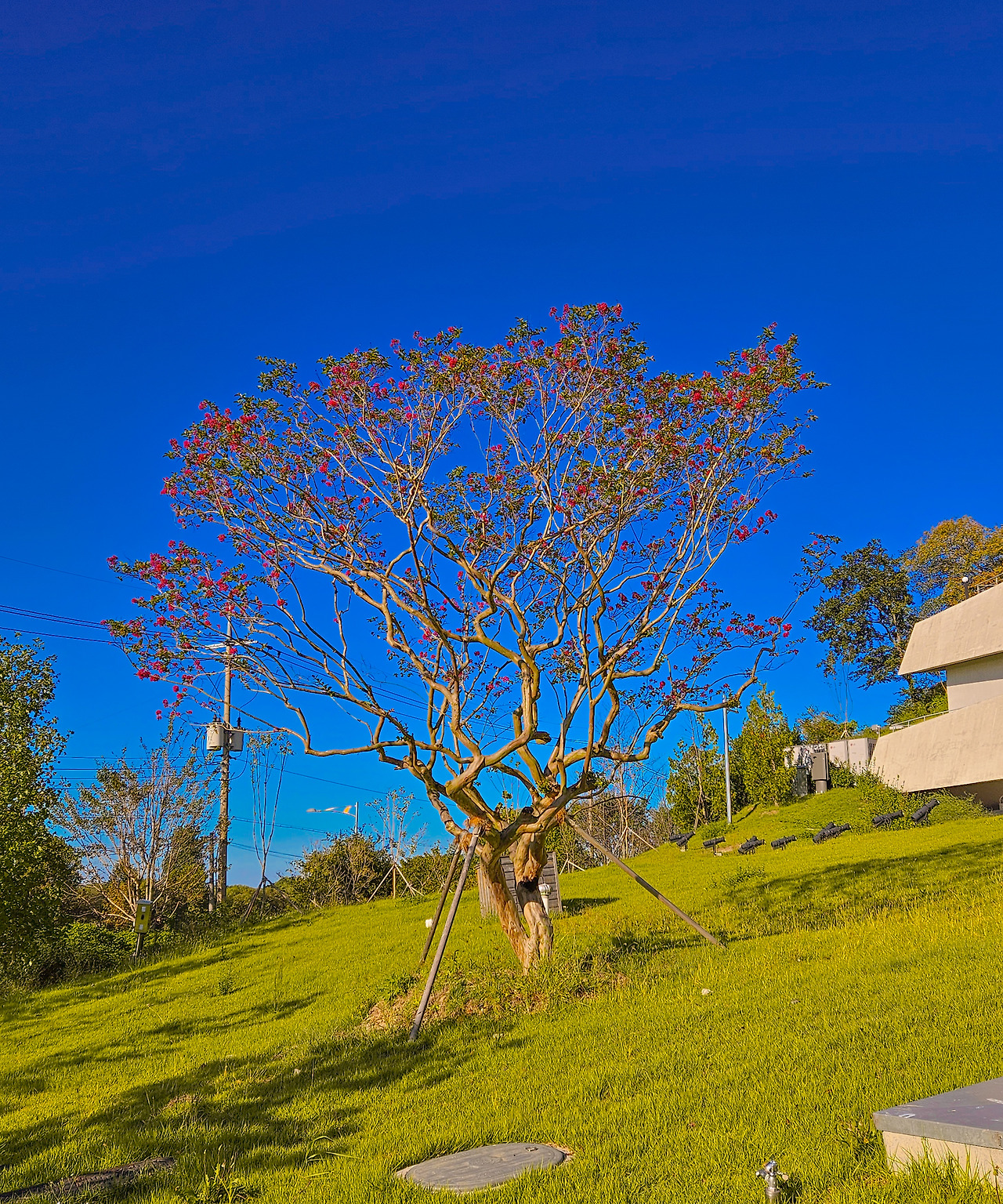 KakaoTalk_20251013_210134458_21 (1).jpg