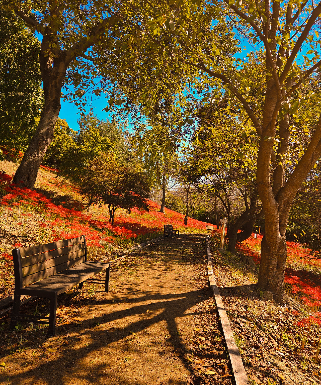 KakaoTalk_20251013_210134458_18 (1).jpg