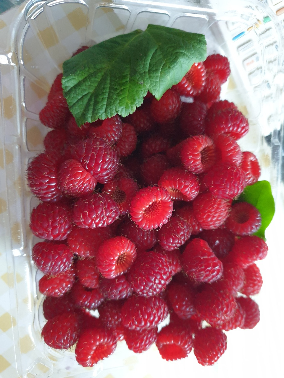 KakaoTalk_20210628_160343740_03 (1).jpg