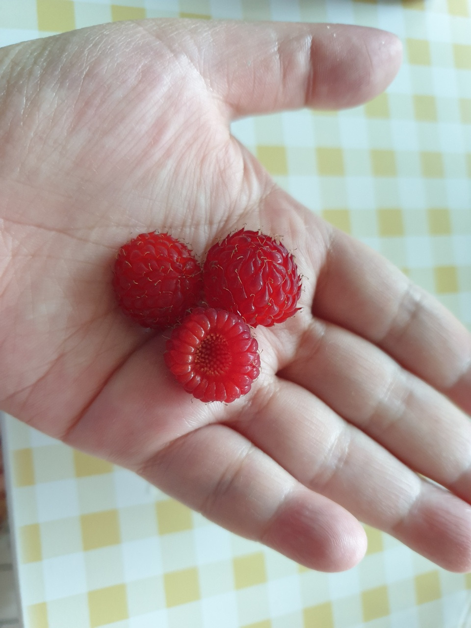 KakaoTalk_20210628_160343740_02 (1).jpg