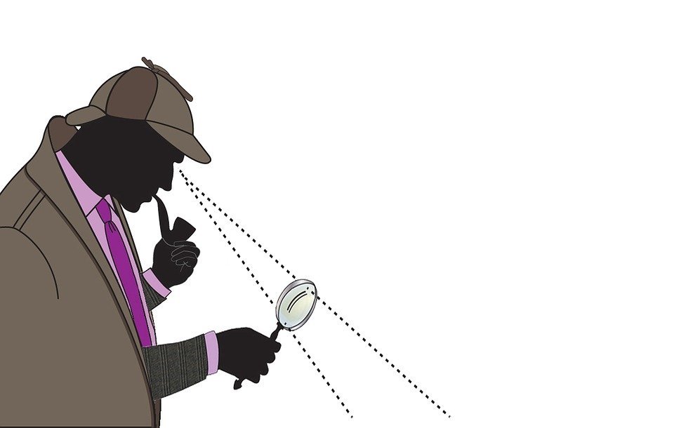 detective-4088744_960_720.jpg