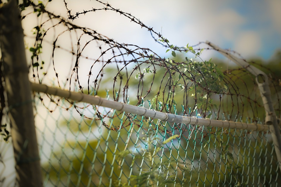 barbed-wire-600471_960_720.jpg