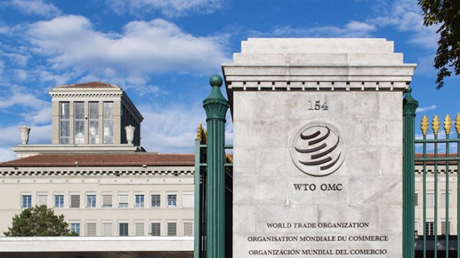10. wto_2.jpg