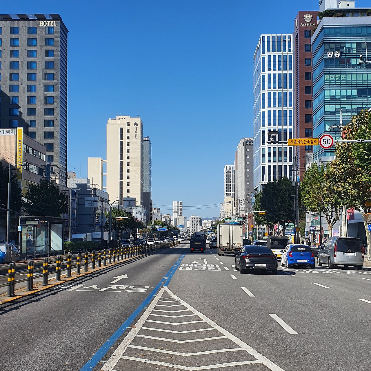 2023-11-16 학교가는길.jpg