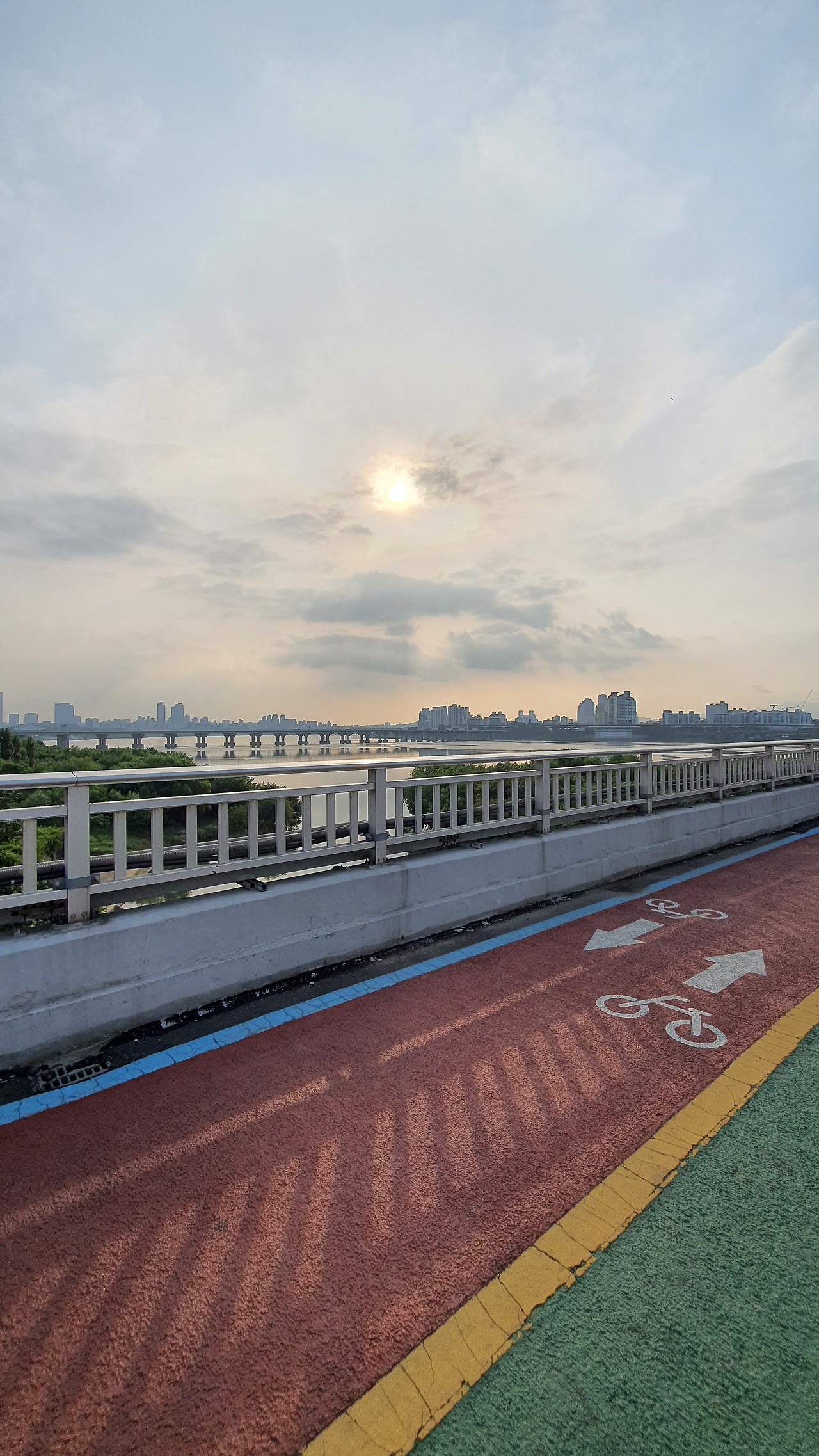 2022-07-09 한강 자전거.jpg