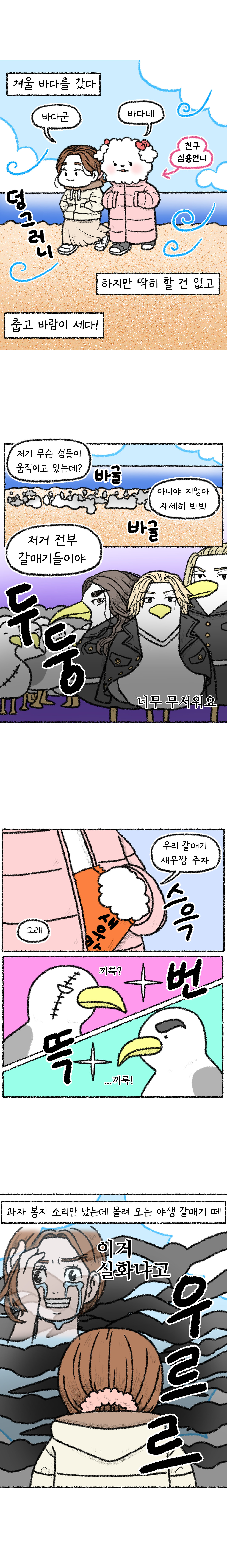 겨울 바다와 조폭 갈매기2.jpg