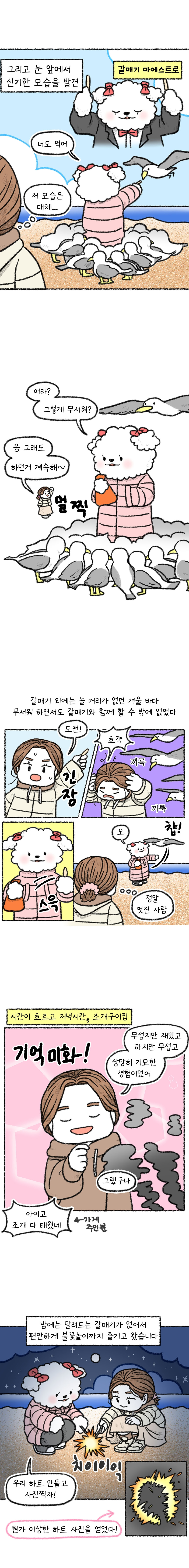 겨울 바다와 조폭 갈매기3.jpg