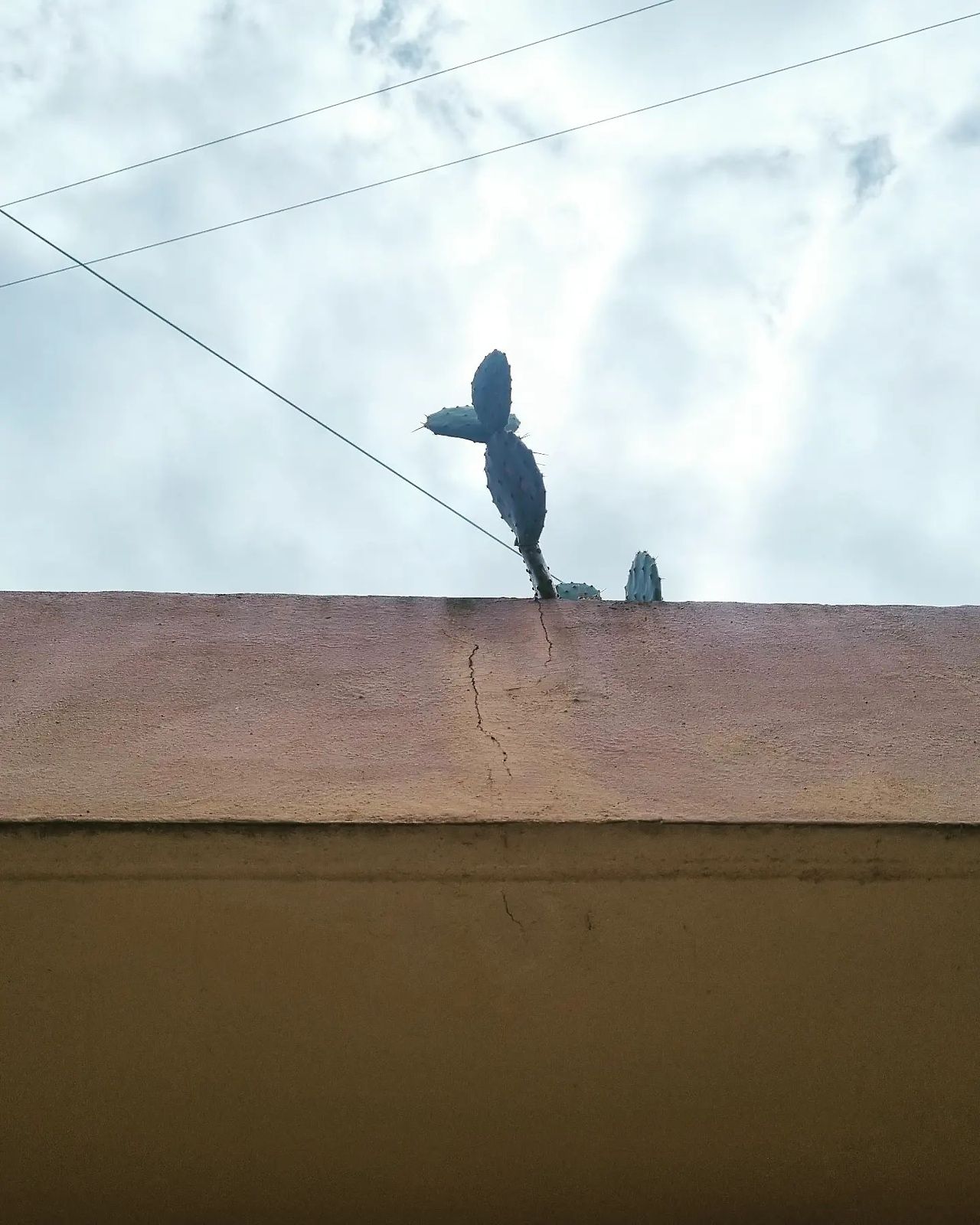 같은 자리지만 다른 자리가 있듯.jpg