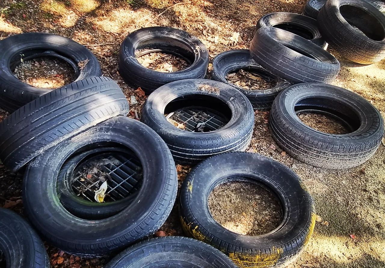 가을 다음엔 늘 여름이 오듯.jpg