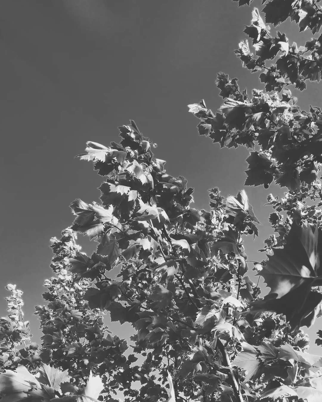 이름을 지우며 건너가는 생.jpg