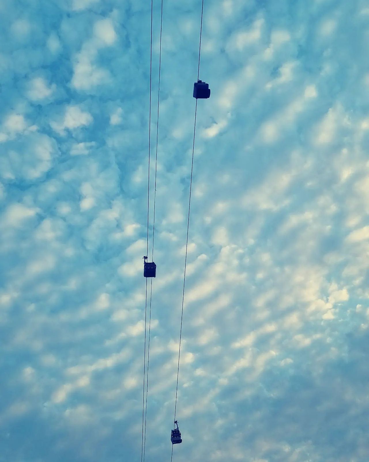 '차라리 잘 된 거야'라고 말할 수 있는 오늘의 시절.jpg