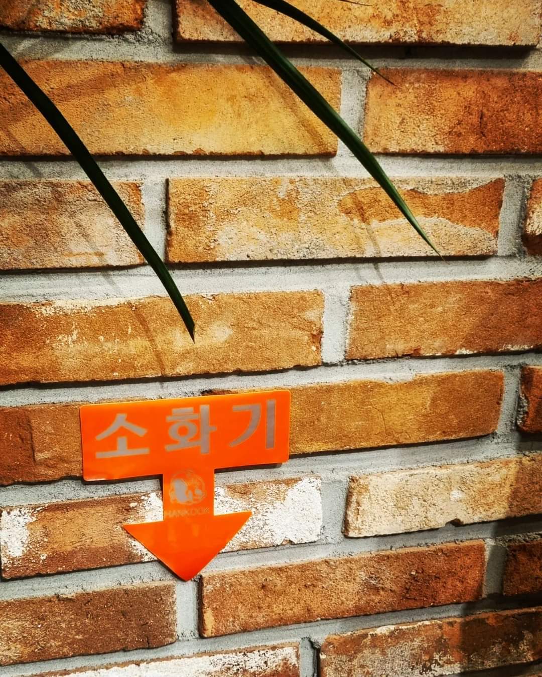 한번 사용한 소화기는 어떻게 처리하는 건가요.jpg