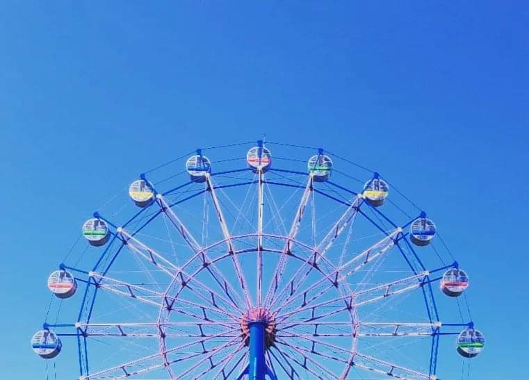 흰 머리카락이 가장 느린 속도로 꽃을 피우듯.jpg