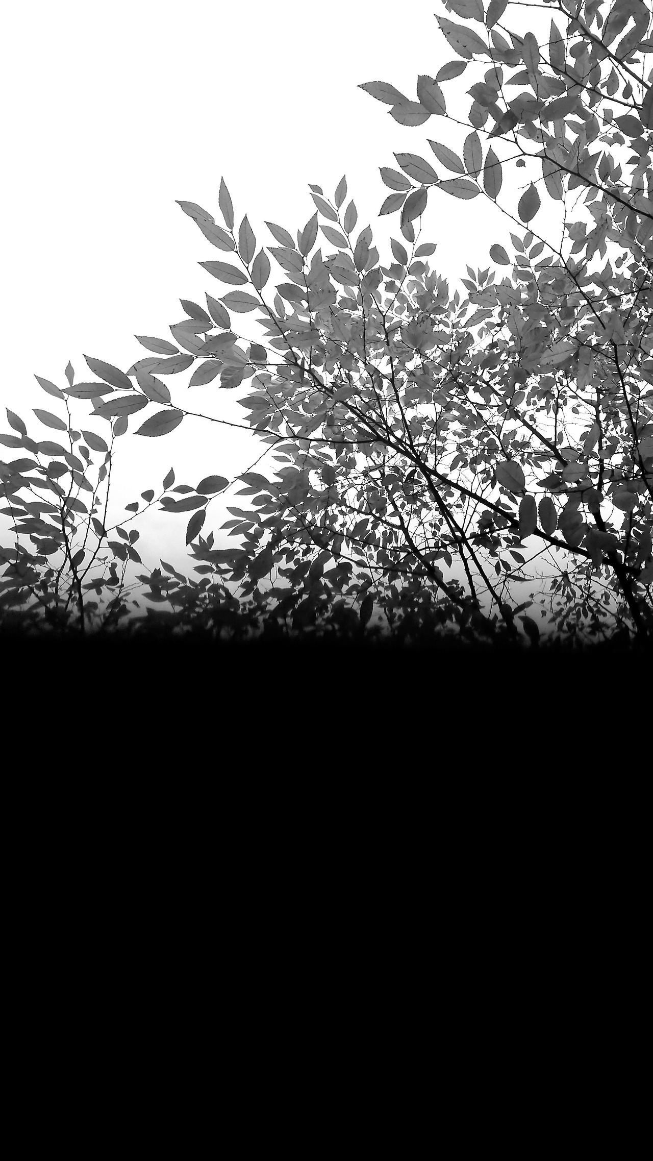 용서하지 못할 것만 사랑했다.jpg