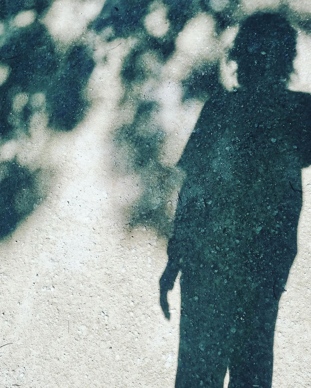 비와 그림자가 함께하는 날씨.jpg