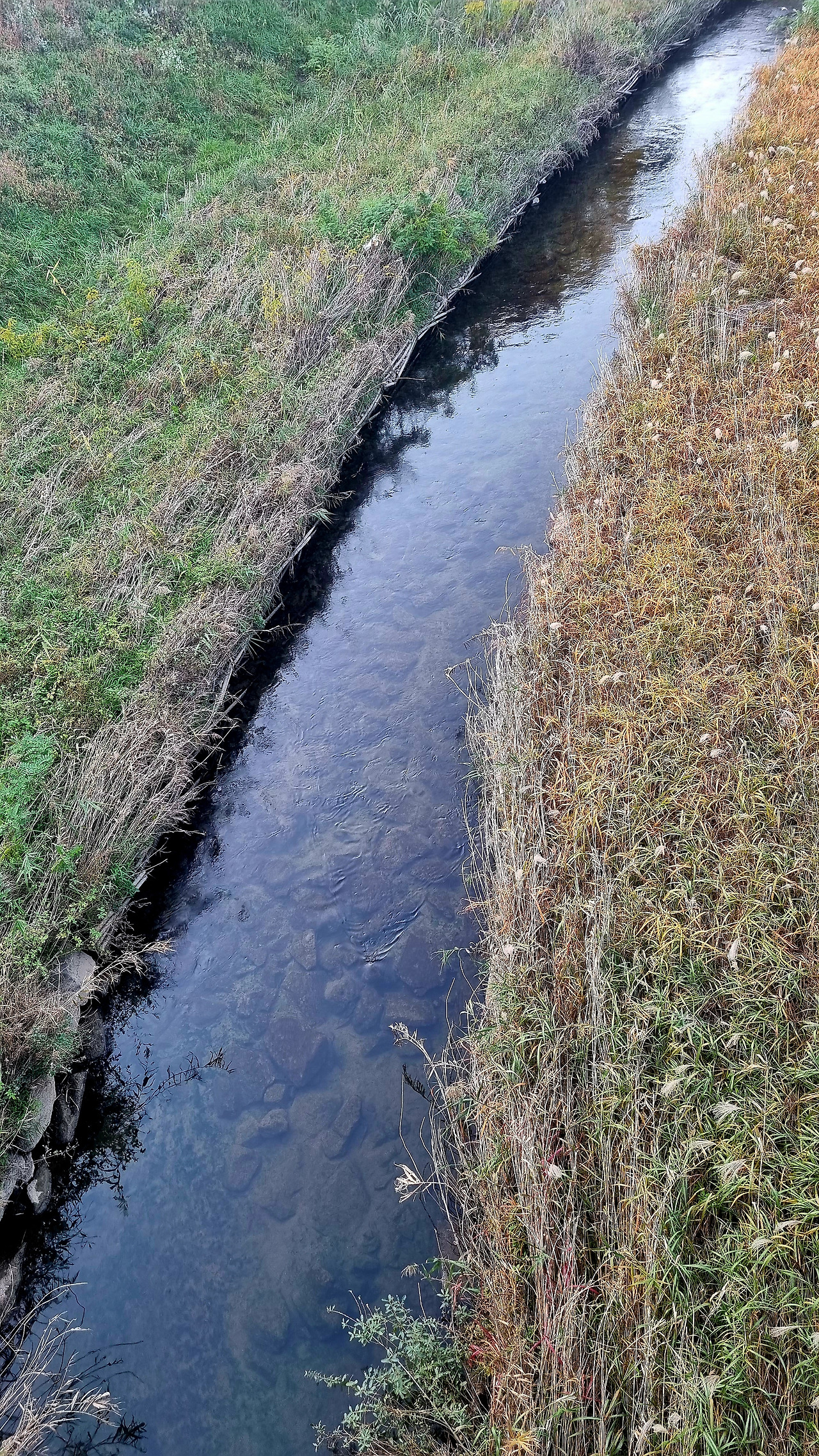 10월 29일과 30일.jpg