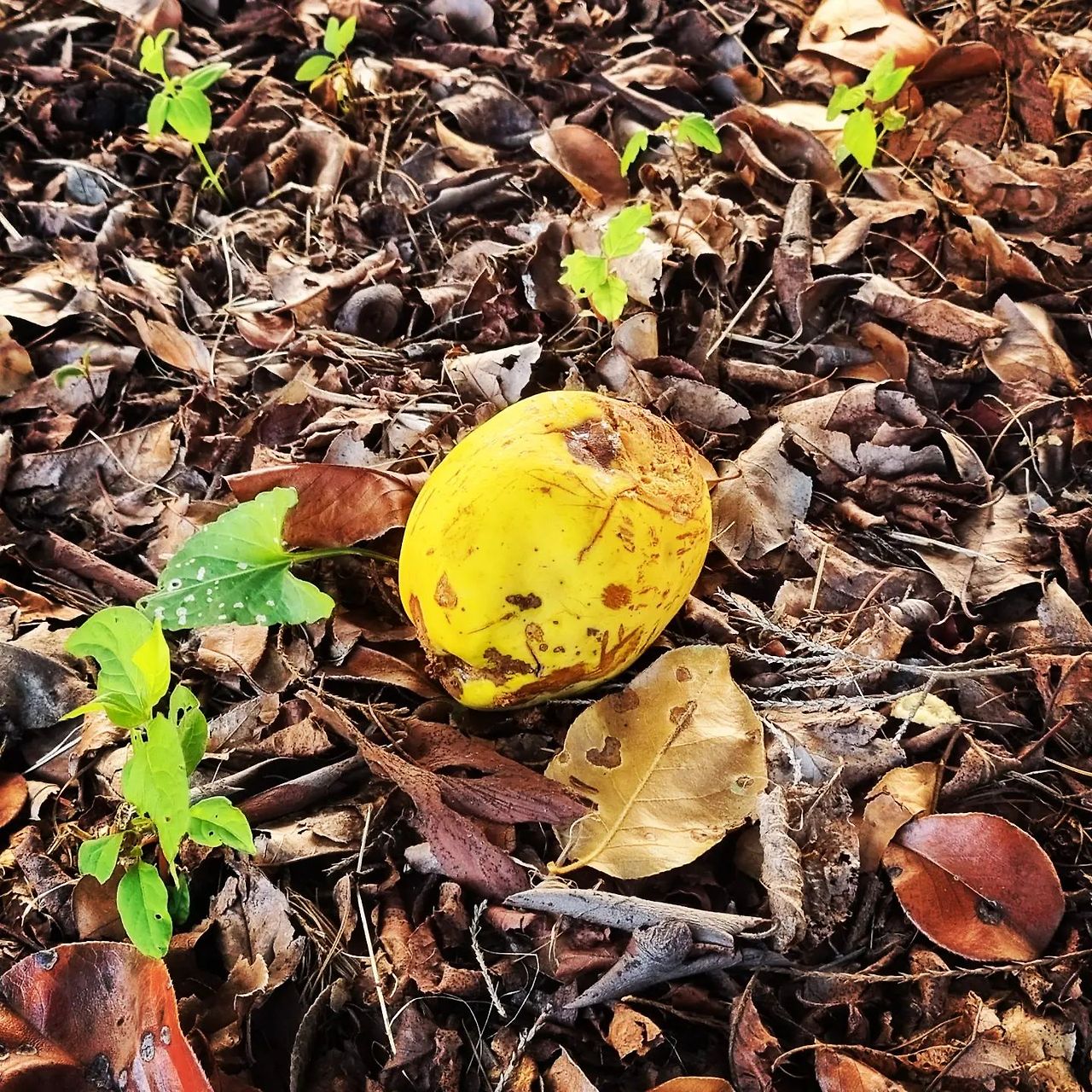 이제 나도 가을이야.jpg