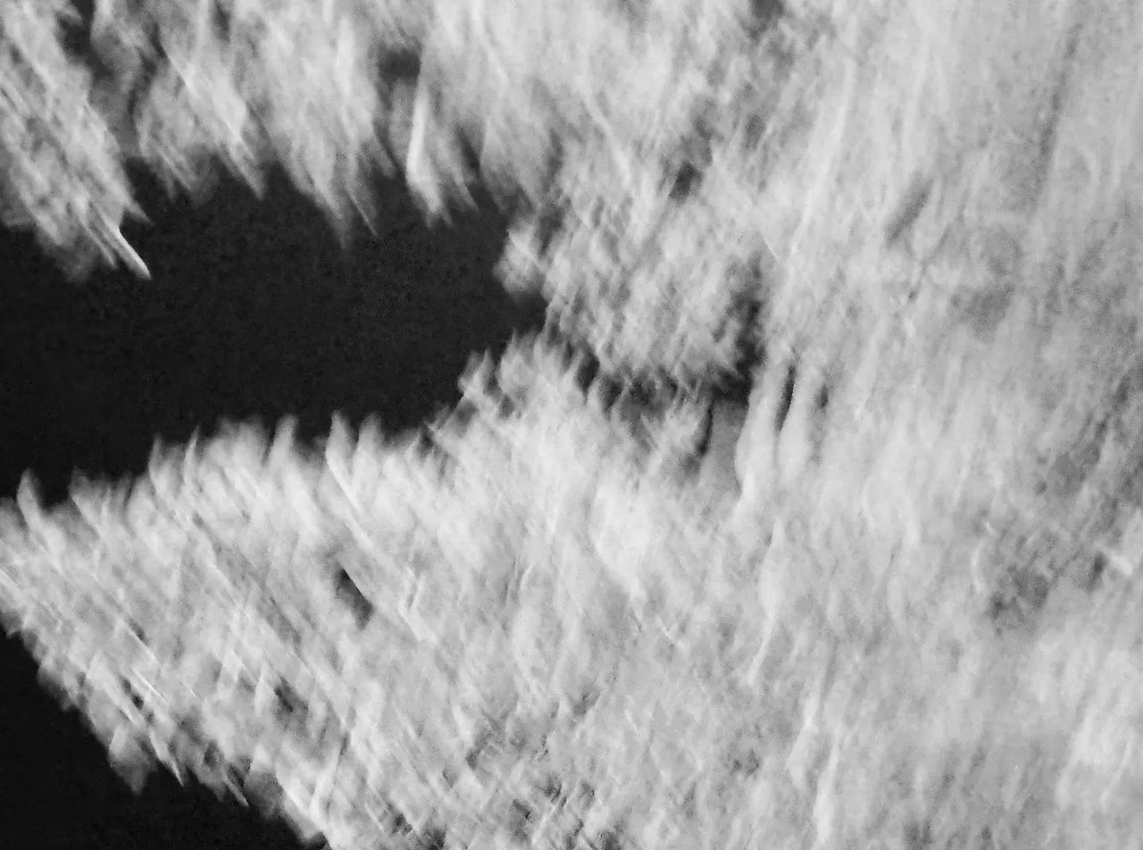 그냥 믿기로 한다.jpg