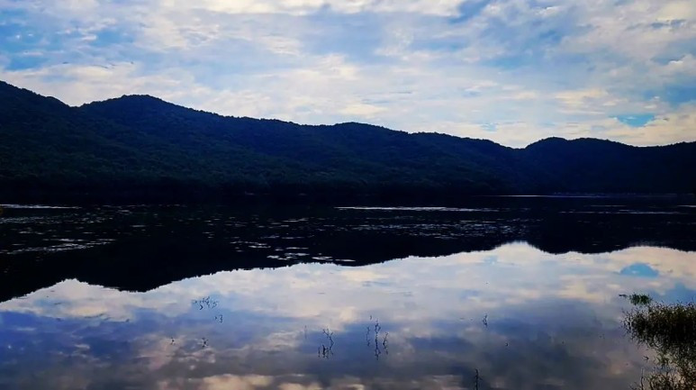 서로 닮은 것들을 다르게 기억한다.jpg