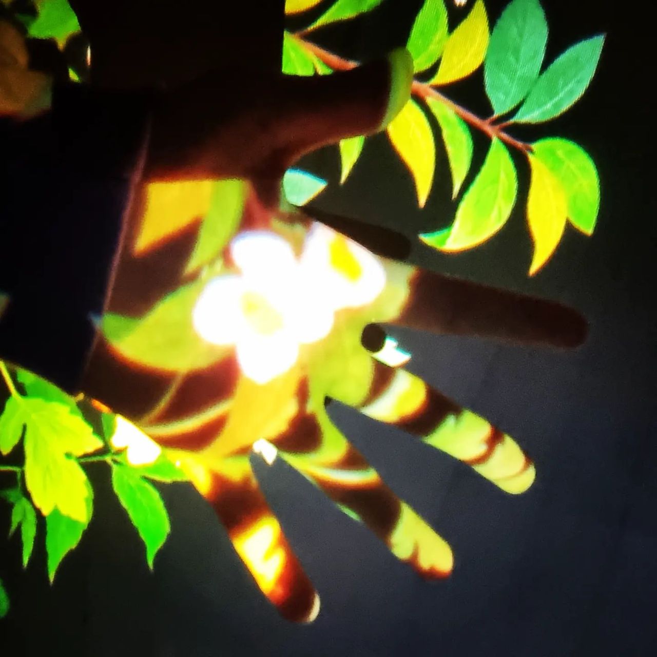 말하자면 답도 없다.jpg