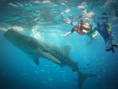 FB_IMG_1494717373826 - 복사본.jpg