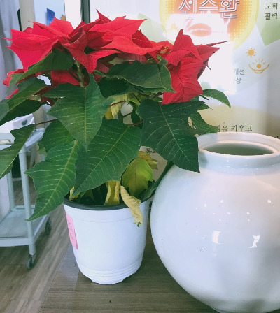 수요일의 환자.jpg