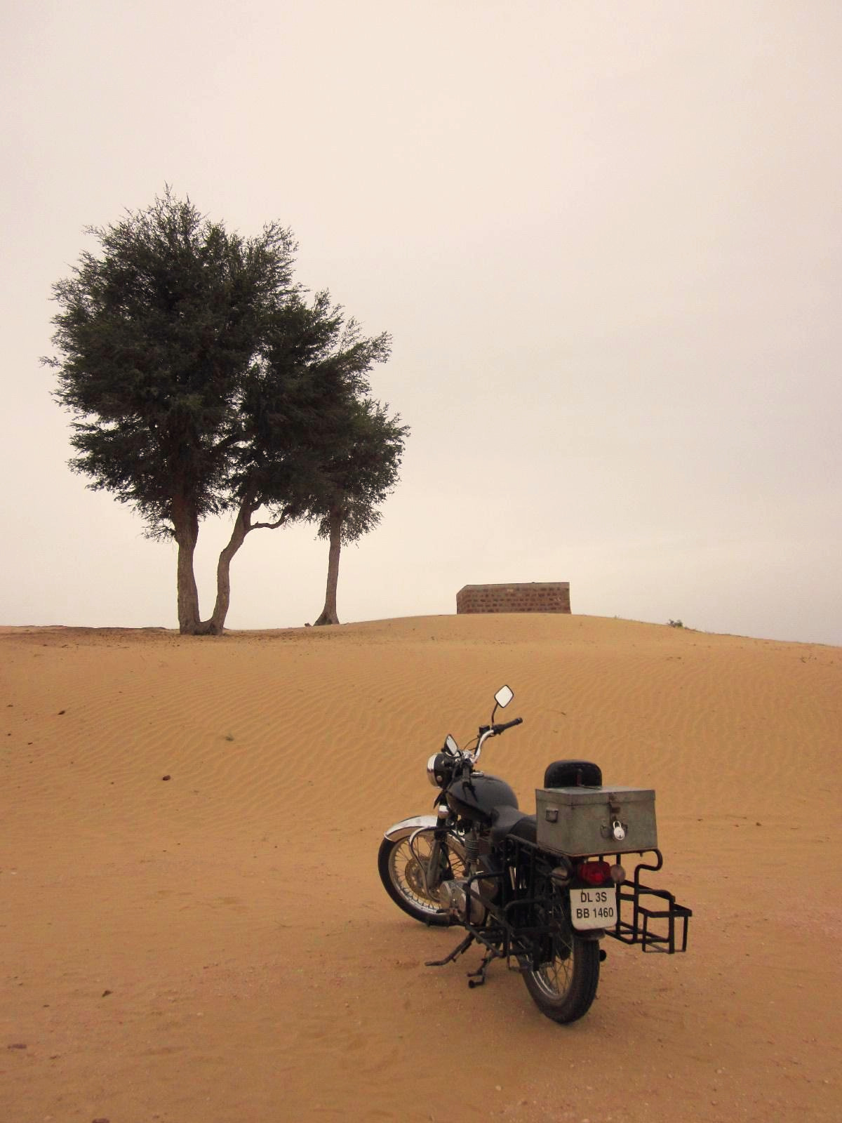 india from sue 725.jpg