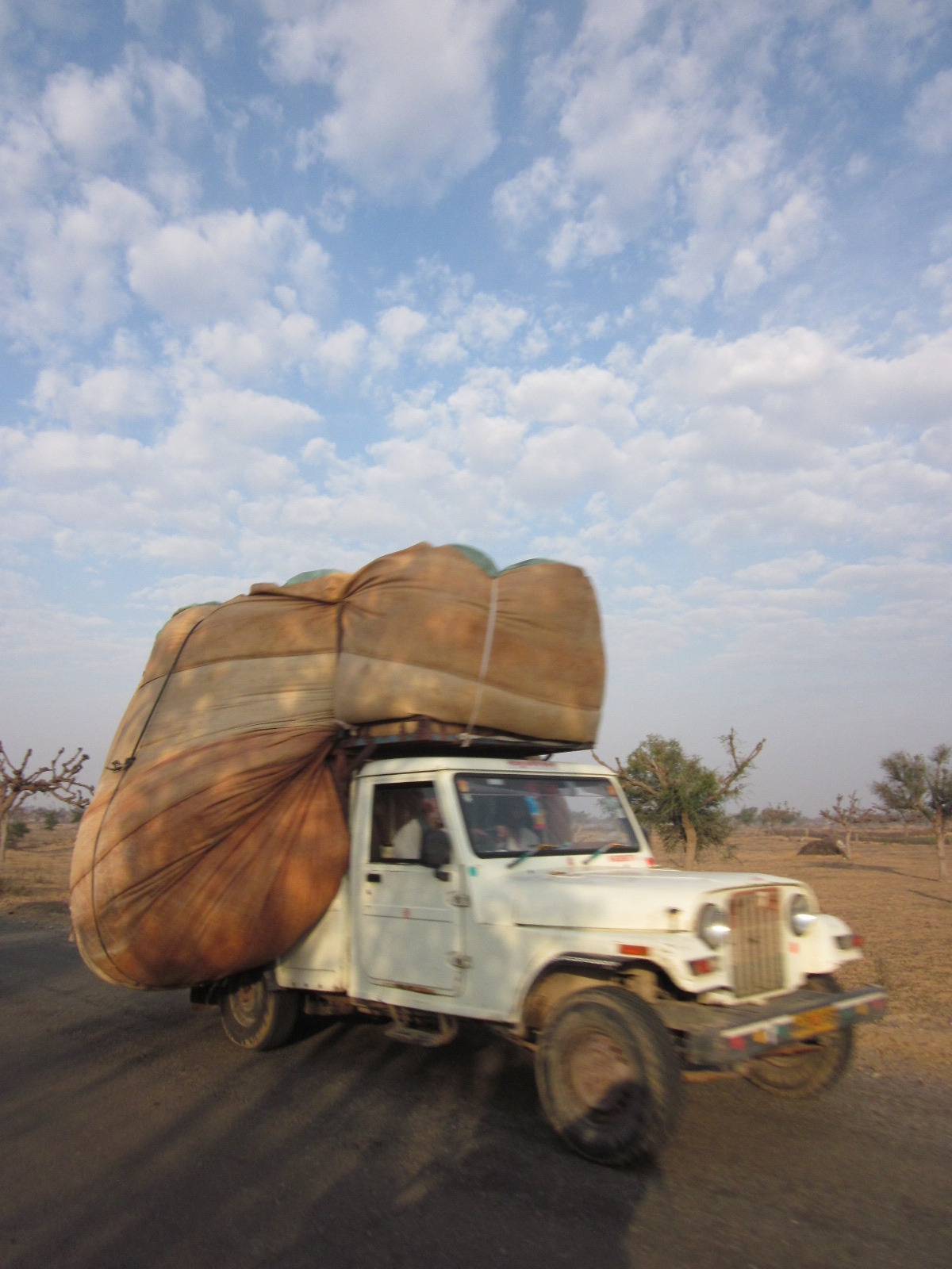 india from sue 293.jpg