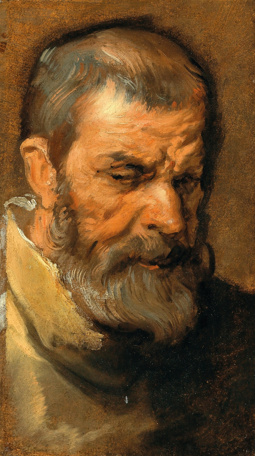 Head Of A Bearded Man_Anthony van Dyck (Flemish, 1599-1641).jpg