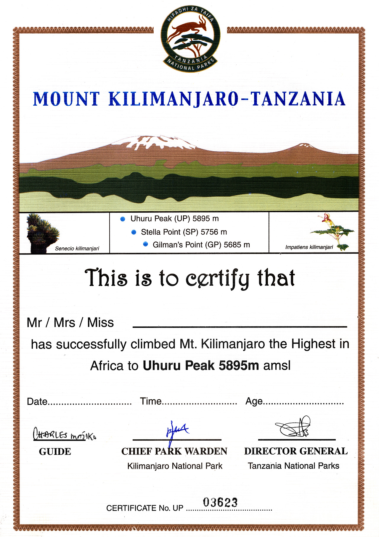 25_킬리만자로 정상 등정서.jpg