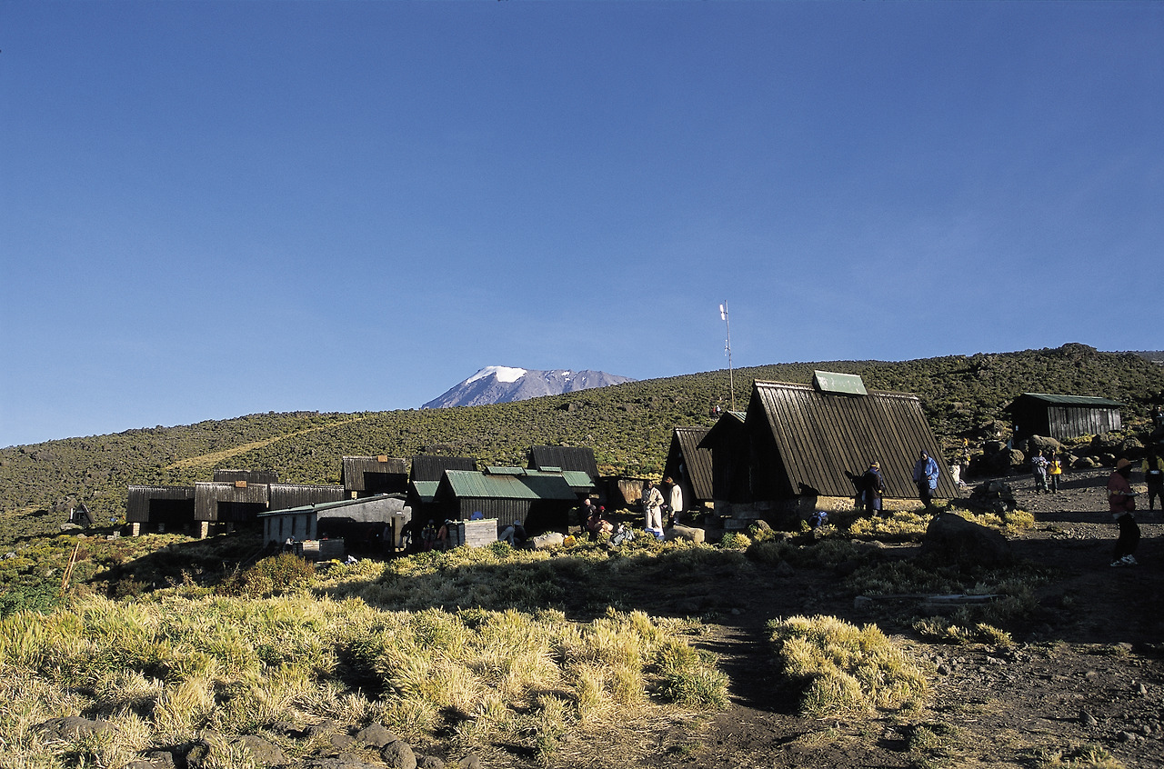 06_3700m 호롬보 산장 너머 눈 덮인 킬리만자로가 보인다.jpg