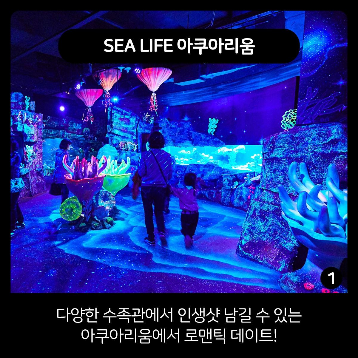 0314 카드뉴스2.jpg