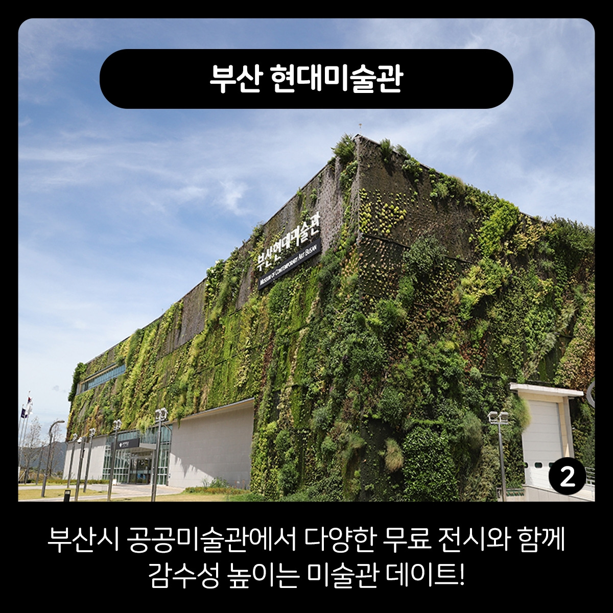 0314 카드뉴스3.jpg