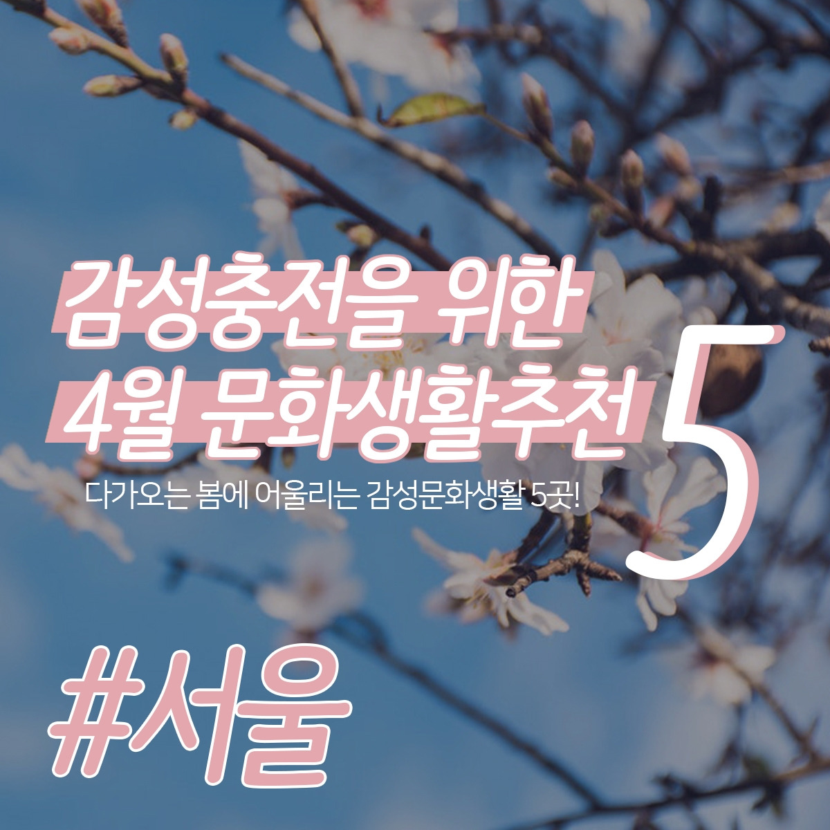 카드뉴스 1 (표지).jpg