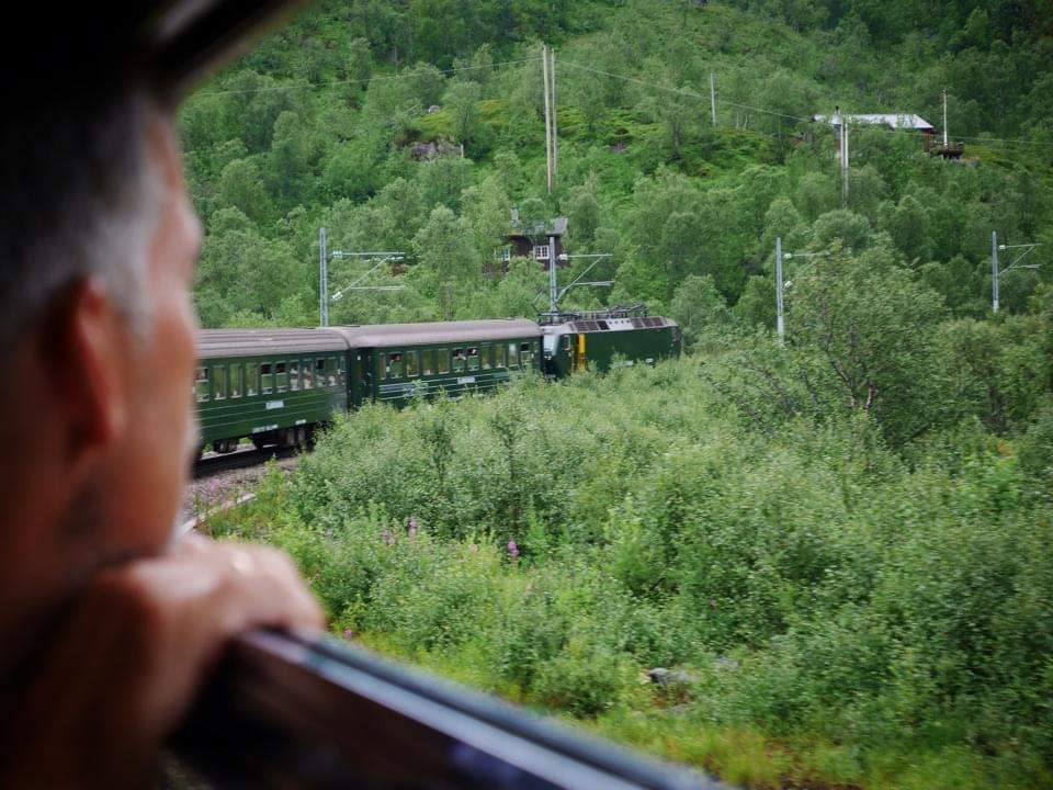 노르웨이의 숲으로 달리는 산악 열차.jpg