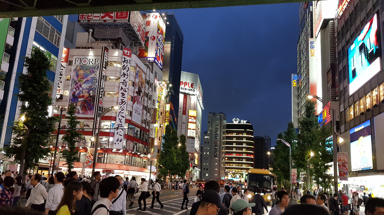 일본 문화 마니아들의 성지 아키하바라.jpg