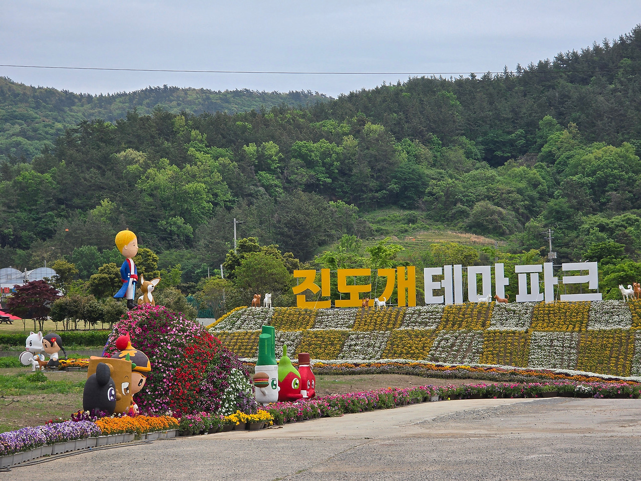 진돗개 테마파크2.jpg