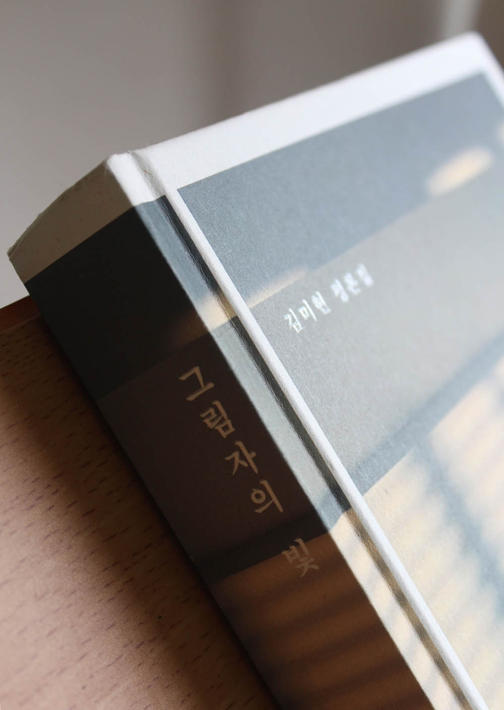 그림자의빛 김미현평론집 책리뷰 독서일기1.jpg