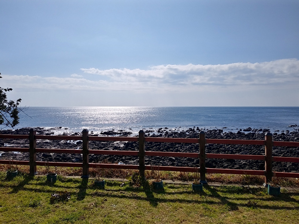 20200219_111054_HDR 사본.jpg