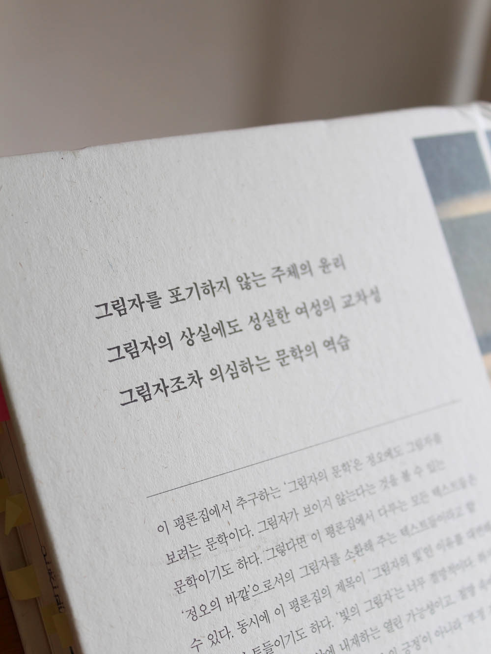 그림자의빛 김미현평론집 책리뷰 독서일기.jpg