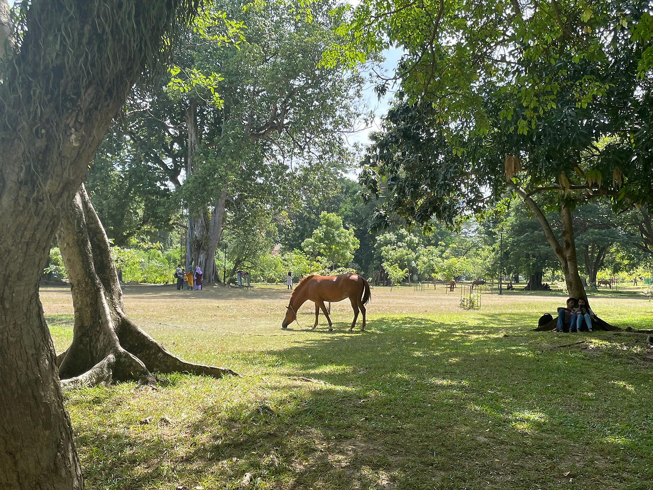 KakaoTalk_20220828_185300169_16 (1).jpg