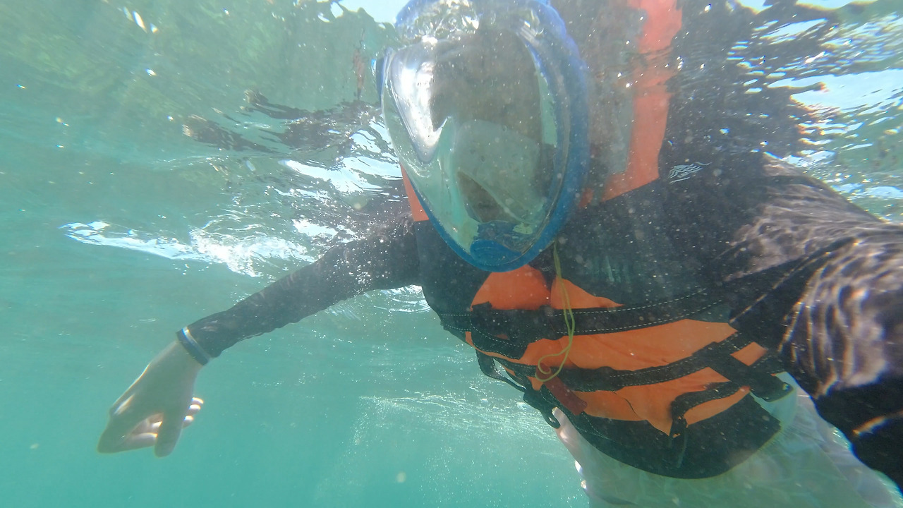 5day.00_00_35_19.스틸 007.jpg