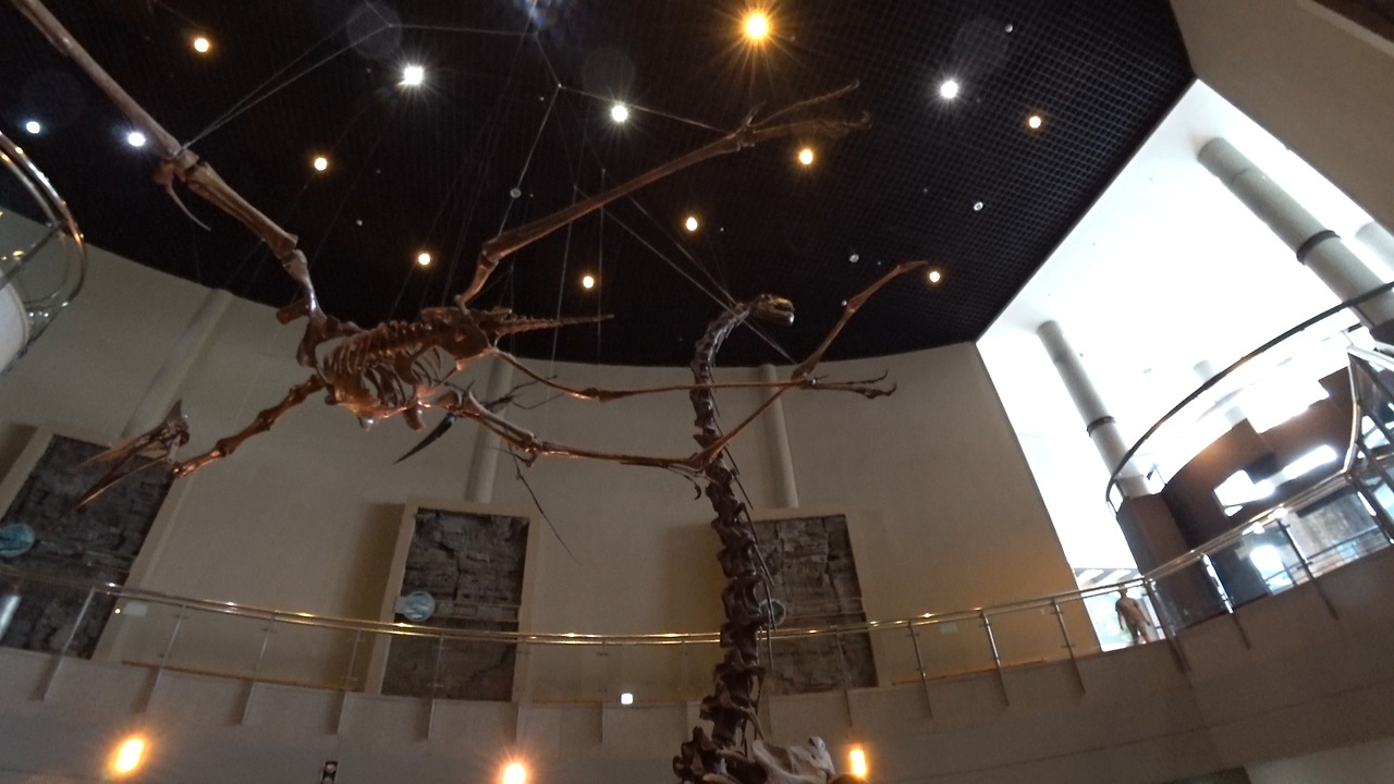 C0010.00_01_36_52.스틸 010.jpg