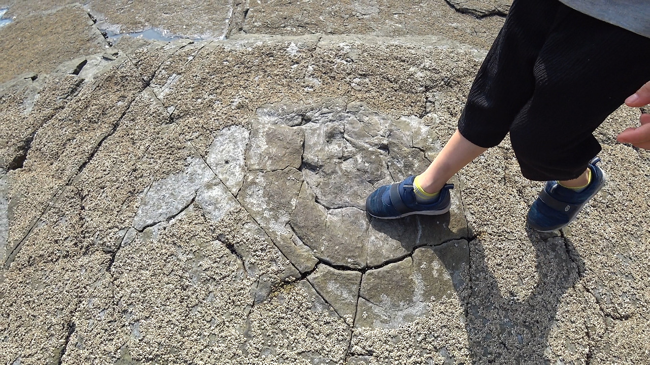 C0010.00_07_01_02.스틸 007.jpg