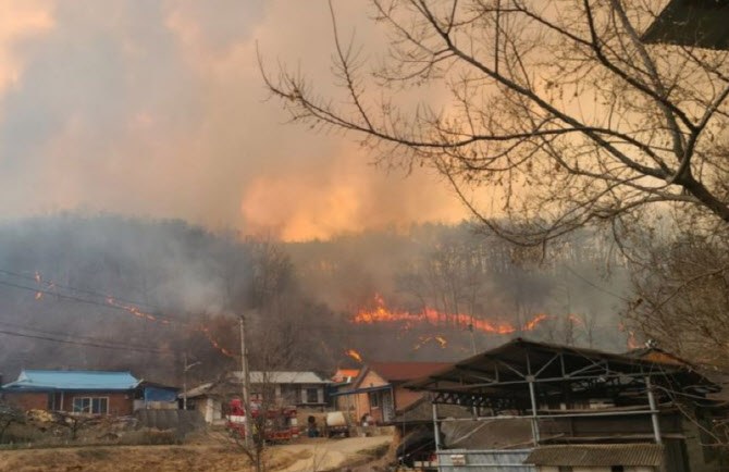 20250331 thefact  박진홍기자.jpg