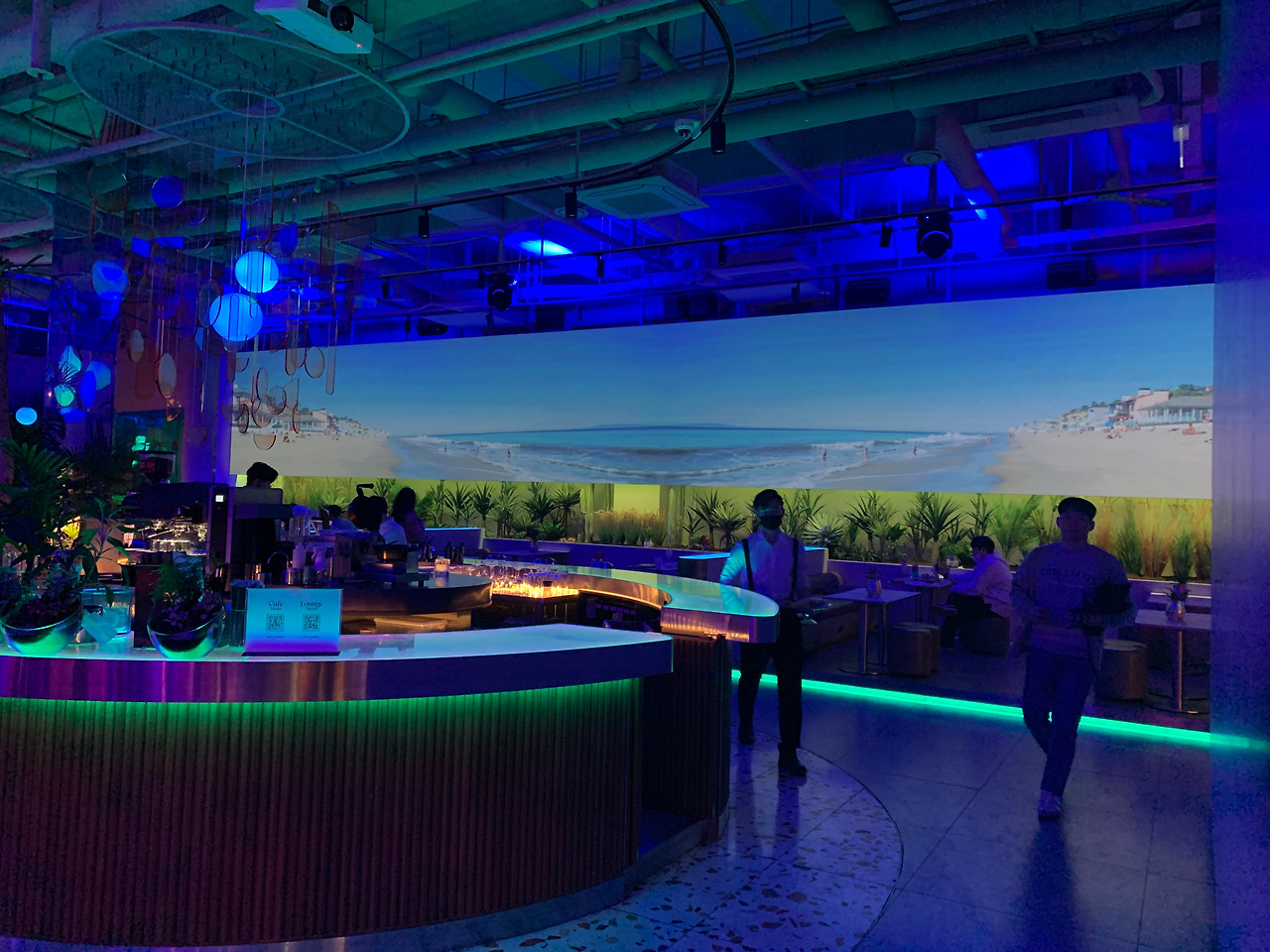 IMG_9834 (1).JPG.jpg