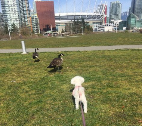 사본 -IMG_8405.jpg