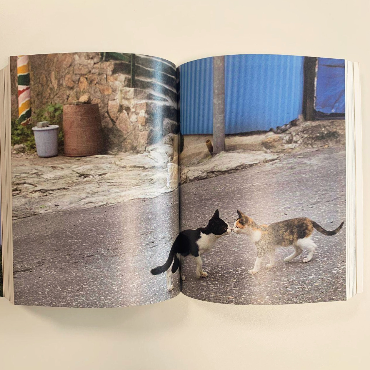 Image from iOS (5).jpg