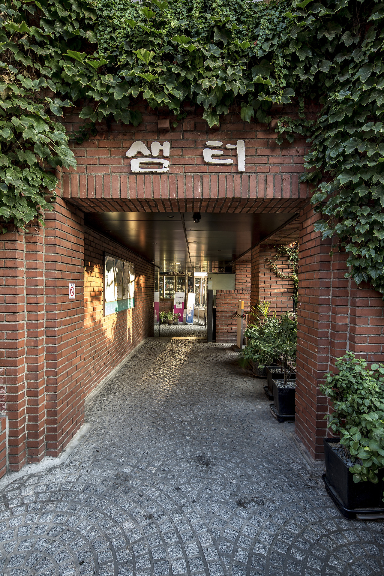 _by tabial_S7B2856.jpg