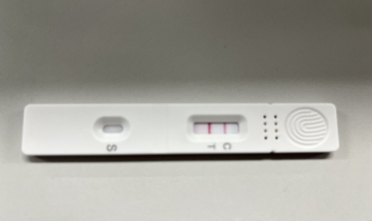 코로나 양성.jpg